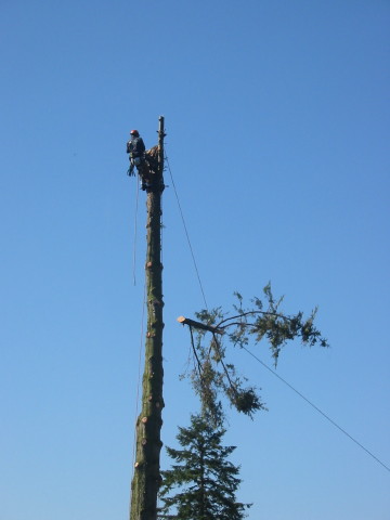 Last Branch