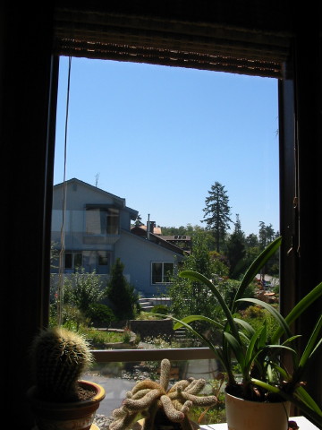 New View